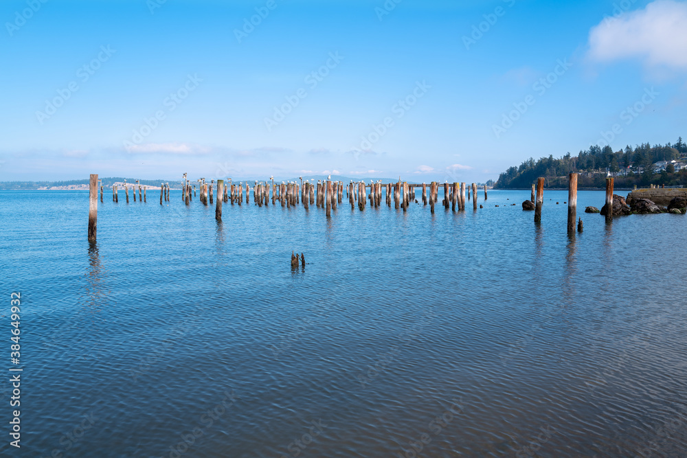 Wood pilings in the water at Anacortes, Washington, USA