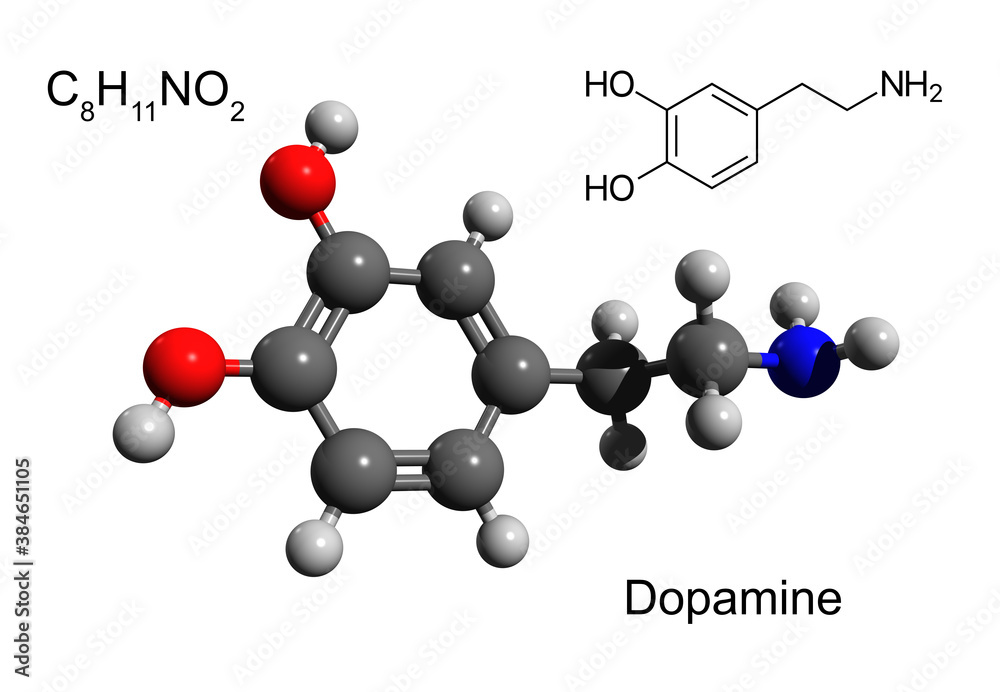Chemical formula, structural formula and 3D ball-and-stick model of a hormone and neurotransmitter dopamine, white background Chemical formula, structural formula and 3D ball-and-stick model of a hormone and neurotransmitter dopamine, white background