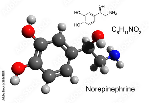 Chemical formula, structural formula and 3D ball-and-stick model of a hormone and neurotransmitter norepinephrine (noradrenaline), white background photo