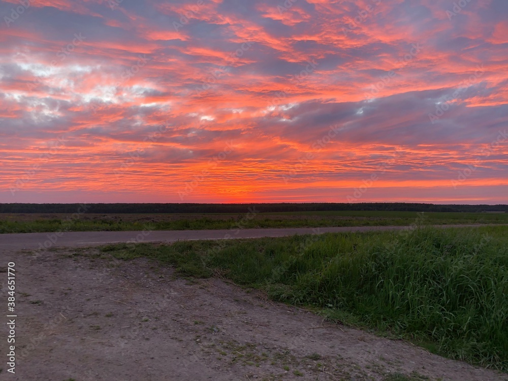 Obraz premium sunset over the field