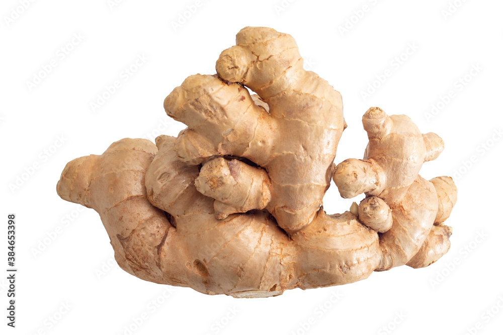 Ginger on isolated white background.Nature organic herb healthy.Vegetable clipping path object. Ginger on isolated white background.Nature organic herb healthy.Vegetable clipping path object.