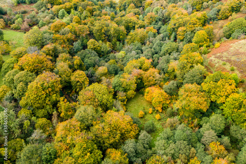 Aerial view of autumn colours
