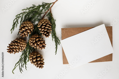  christmas tree branch with cones. postcard layout. congratulation. invitation