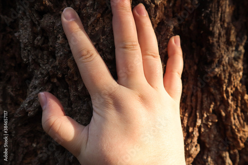 hand spread over thick rough tree bark