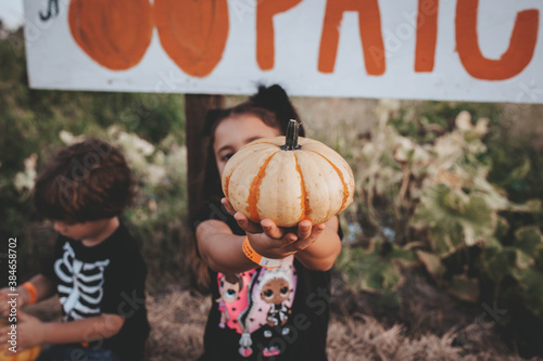 fall day in Florida at a pumpkin patch at a farm picking pumpkins  photo