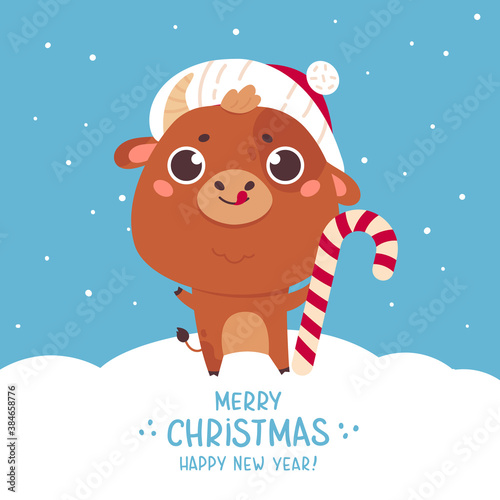 Cute cartoon ox with the Christmas candy. Design for greeting cards, advertising, banners, prints. Xmas card. Merry Christmas and Happy new year 2021. Vector colorfull illustration. photo