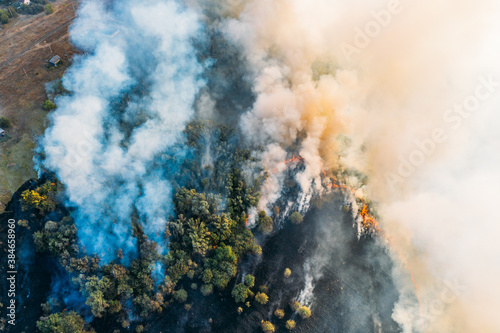 Forest and field fire, burning dry grass and trees with huge smoke, natural disaster, aerial top view.