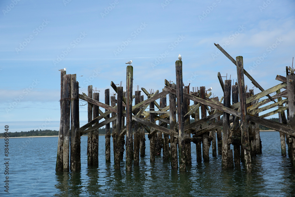 Structure made of wood columns set in the ocean perched all over with gulls and a blue sky behind