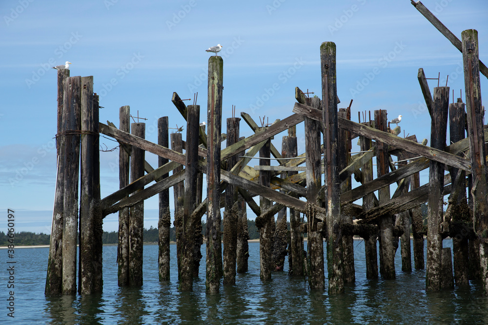 Structure made of wood columns set in the ocean perched all over with gulls