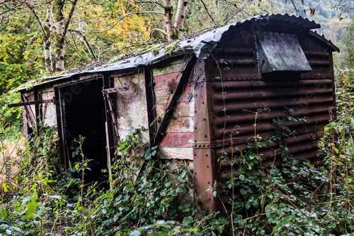 A discarded, old railway freight wagon in heavy undergrowth