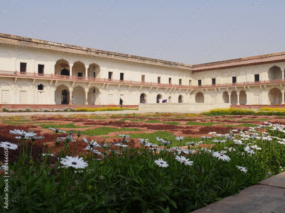 Agra, India- March 2018: White flowers bloom in the landscaped gardens inside Agra Fort.