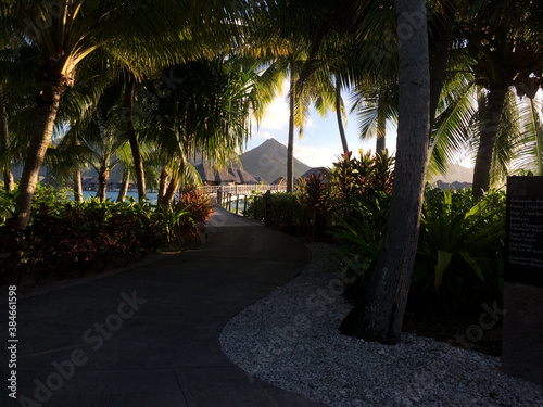 Sunrise Over Palm Trees on Island Vacation