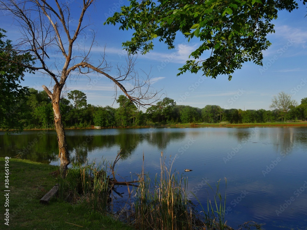 Fototapeta premium Scenic view by the lake with reflections of trees in the water