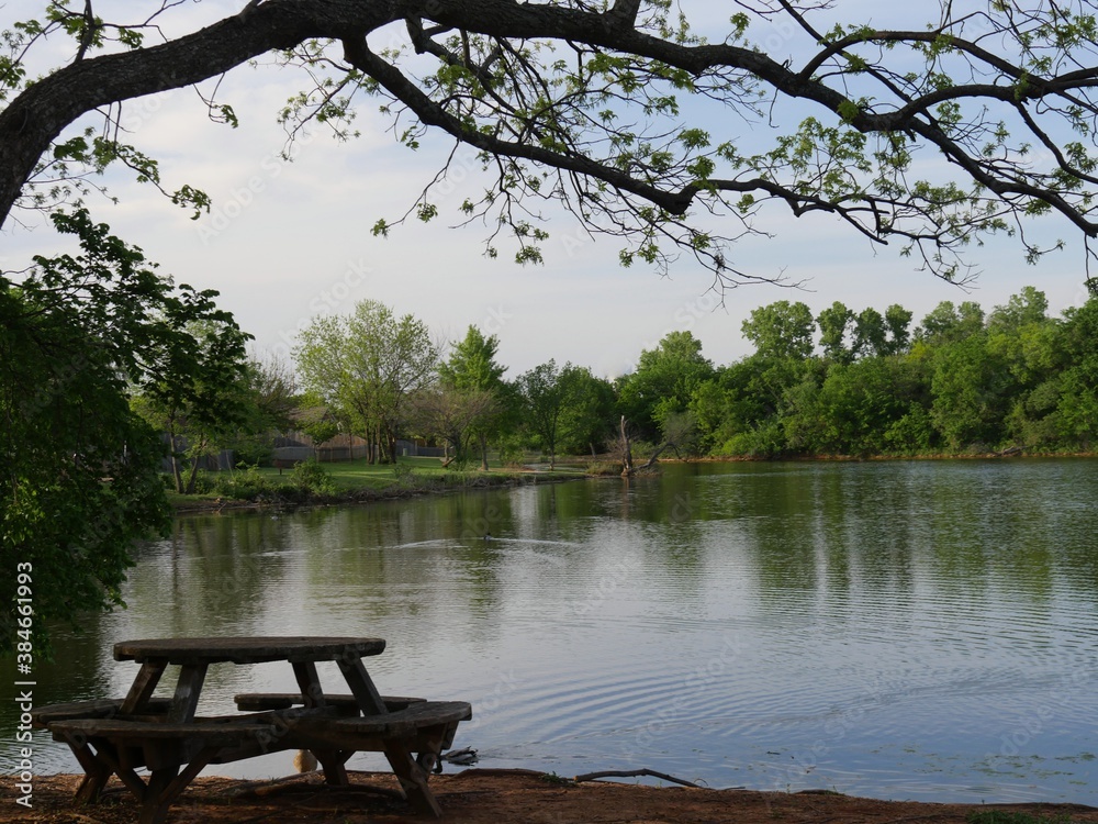 Relaxing view of a lake with a wooden round table and benches in the bank