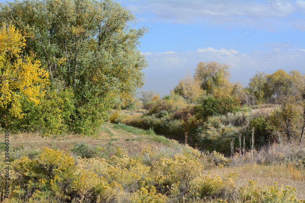 Colorado autumn landscape with yellow autumn trees and dry autumn prairie grasses and stream