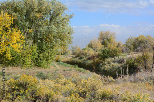 Colorado autumn landscape with yellow autumn trees and dry autumn prairie grasses and stream