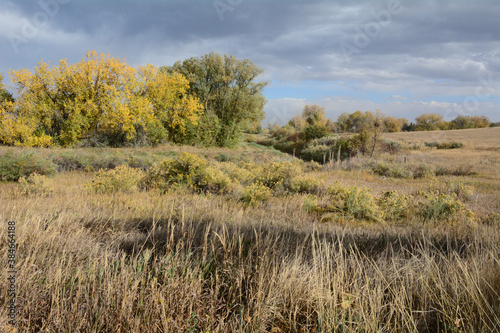 Colorado autumn landscape with yellow autumn trees and dry autumn prairie grasses