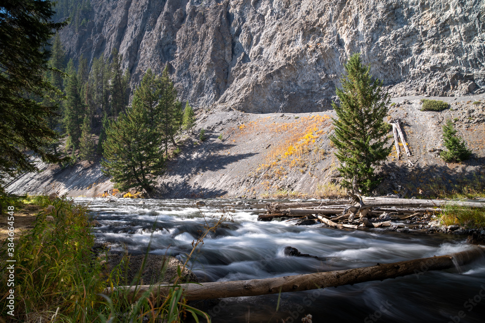 Obraz premium Flowing Firehole River in Yellowstone National Park. Silky water daytime long exposure