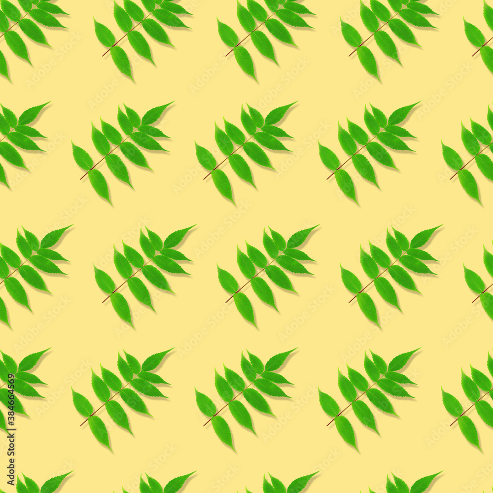 Obraz premium Seamless pattern. Green leaves isolated on a yellow background