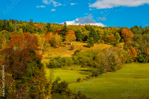 Fototapeta Naklejka Na Ścianę i Meble -  Fall Foliage colors in Vermont