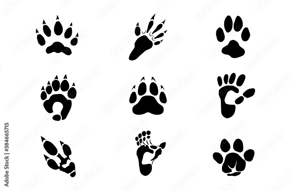 animal footprint collections vector isolated on white.