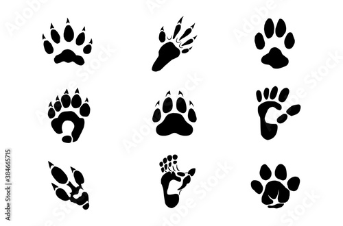 animal footprint collections vector isolated on white.