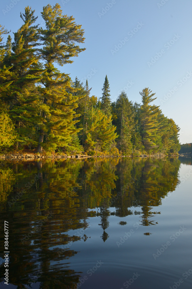reflection of trees over Canisbay Lake in Algonquin Park Canada reflection of trees over Canisbay Lake in Algonquin Park Canada