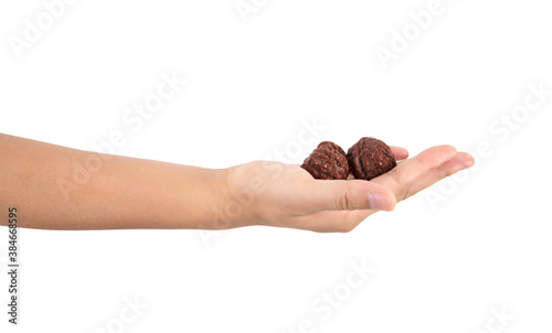 Holding Wenwan walnut in one hand in front of white background on display