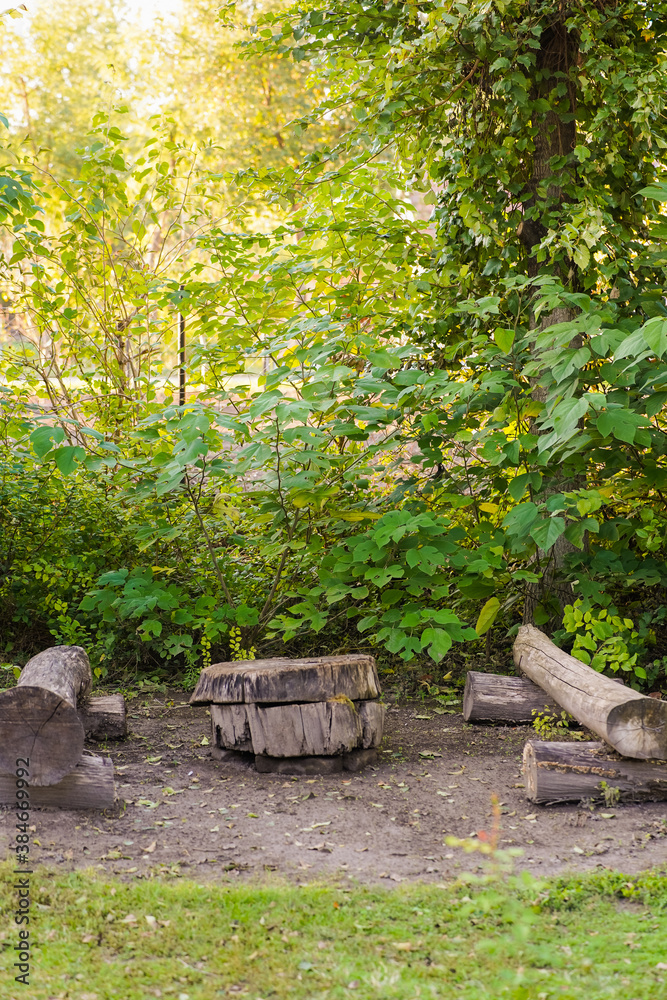 Vertical image of a a tree trunks turned into furniture as two log benches and a coffee table inside relaxation area of the park in nature Vertical image of a a tree trunks turned into furniture as two log benches and a coffee table inside relaxation area of the park in nature