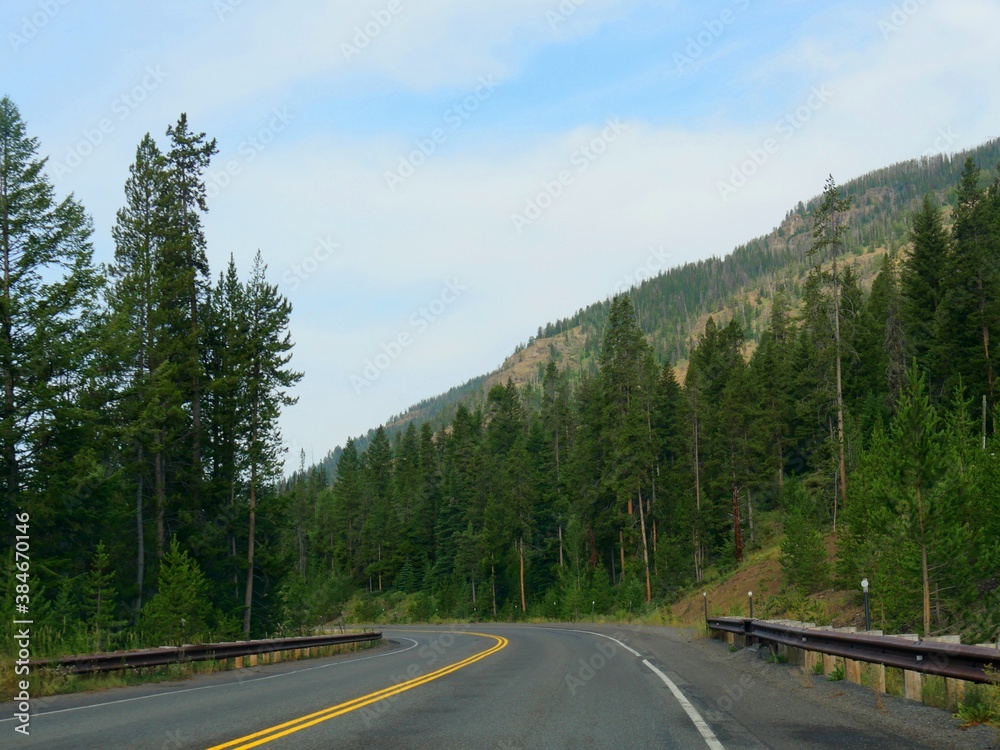 Winding road with lush green trees at Yellowstone National Park in Wyoming.