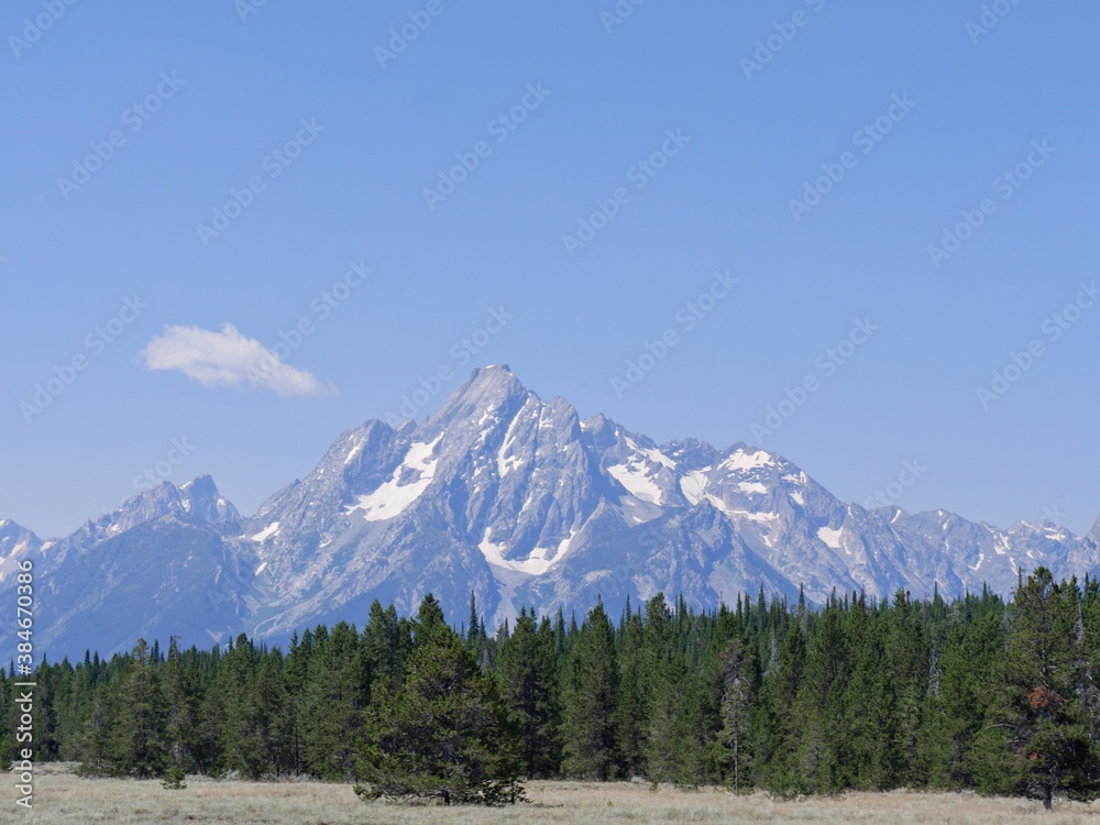 Thick rows of pine trees along the road with the Grand Teton mountain ranges in the distance in Wyoming.