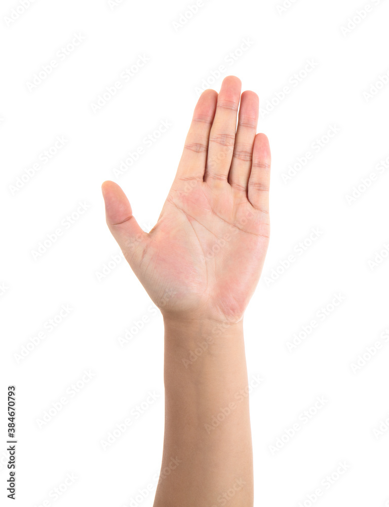 Five fingers together, hand facing the camera on a white background Five fingers together, hand facing the camera on a white background