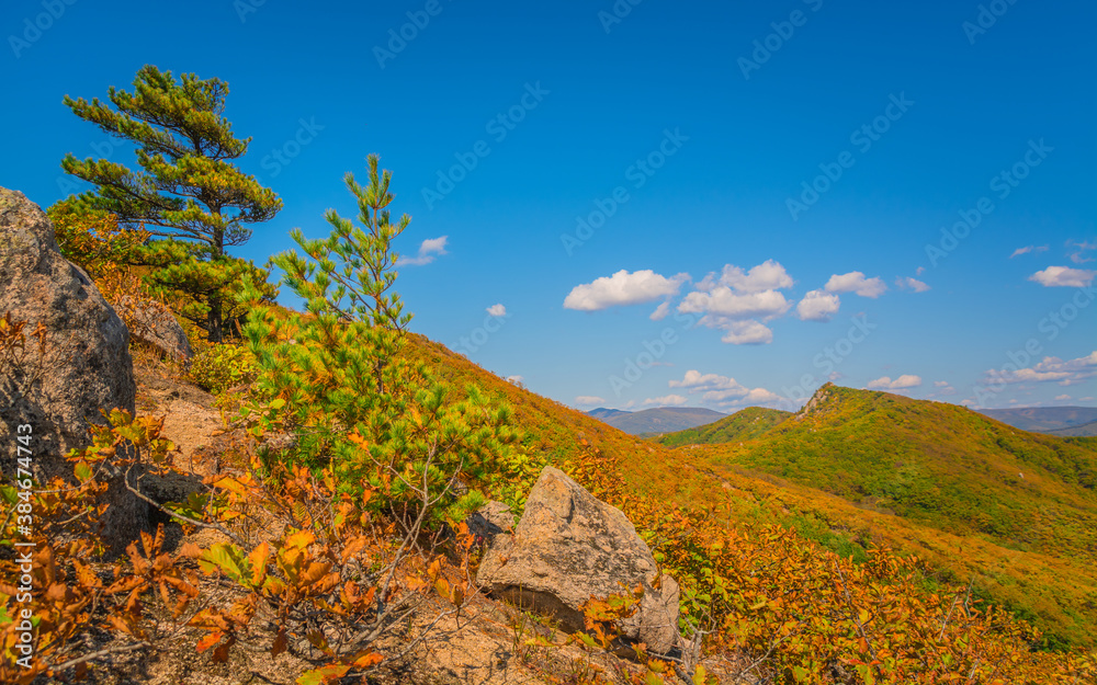 Golden autumn in the taiga mountains of Russia Golden autumn in the taiga mountains of Russia