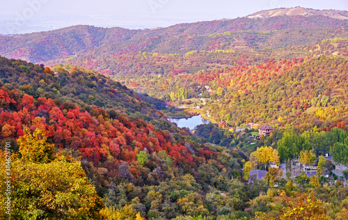 Mountain lake among the autumn forest  countryside in golden autumn season