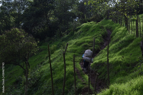 Trabajador de campo