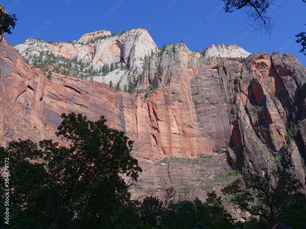 Upward shot of the red rocky cliff walls framed by the silhouettes of treetops late in the afternoon at Zion National Park, Utah.
