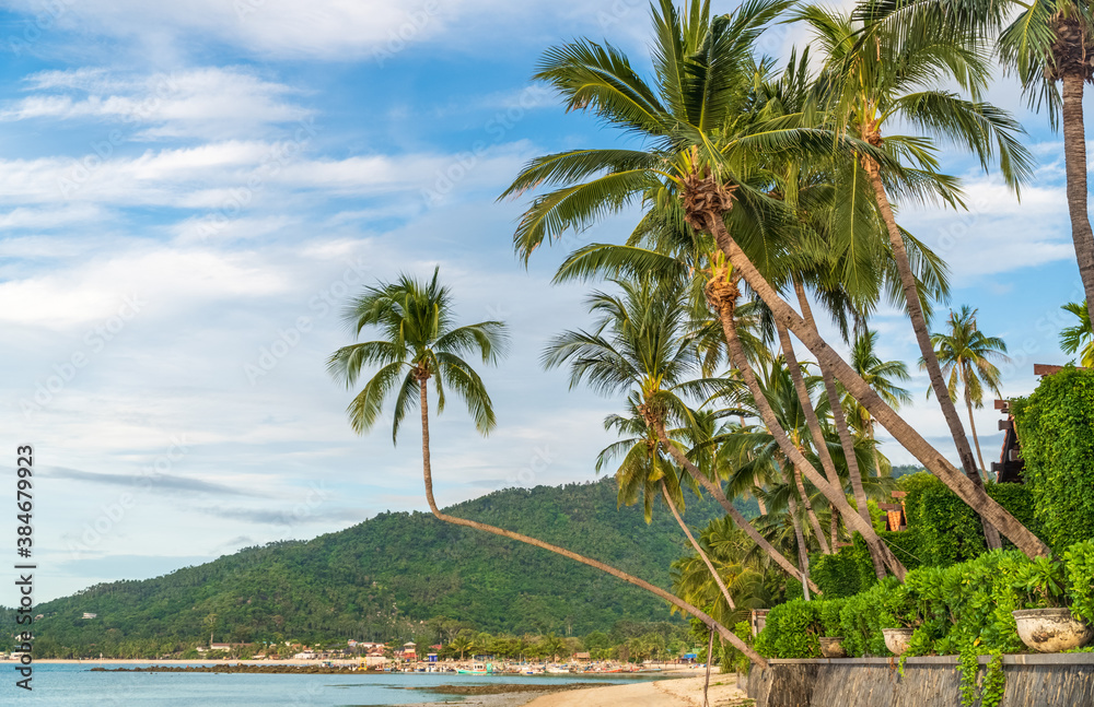 Tropical beach with coconut trees. Koh Samui, Thailand