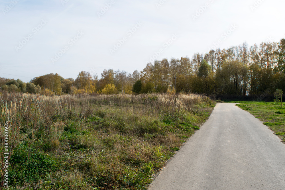 Naklejka premium Natural background meadow, road and trees