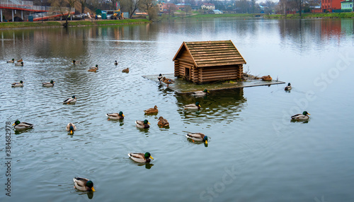 Floating House for wild ducks on the water in the middle of the lake