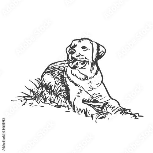 Lying farm guard, herding dog. Vector hand drawn sketch style illustration. 