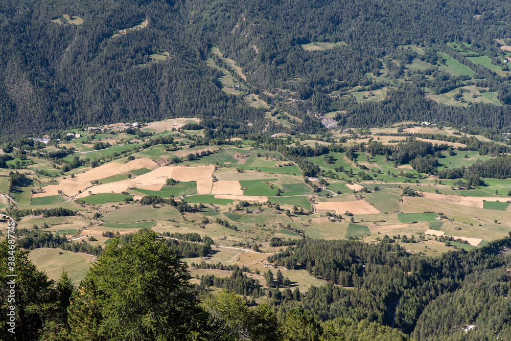 Fototapeta premium Different fields cultivated in the valley in the mountains in the Alps in France