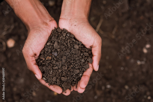 Black soil holding in hand