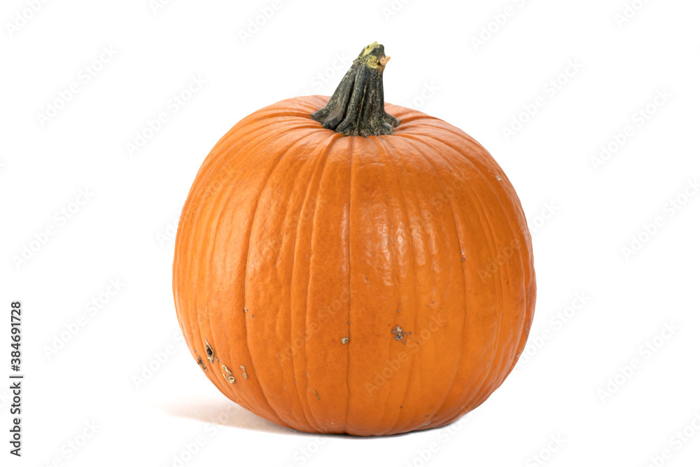 Orange large pumpkin isolated on white. Orange large pumpkin isolated on white.