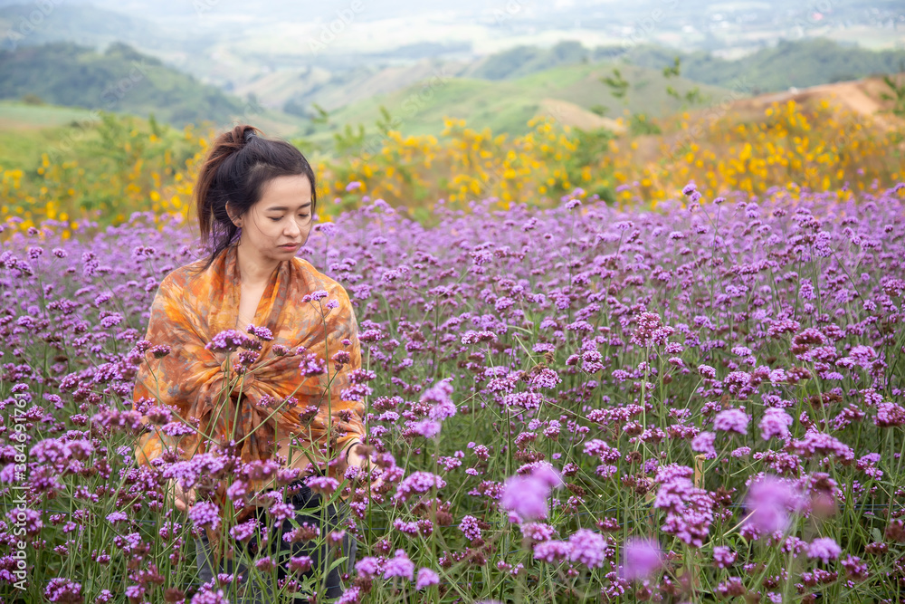 Asian women are standing to admire the beauty of flowers in the mountain gardens at Phetchabun province , Thailand. Asian women are standing to admire the beauty of flowers in the mountain gardens at Phetchabun province , Thailand.