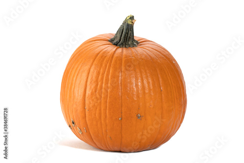 Orange large pumpkin isolated on white.