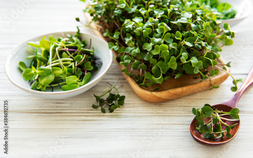 Assortment of micro greens on white wooden background, copy space, top view. Healthy lifestyle