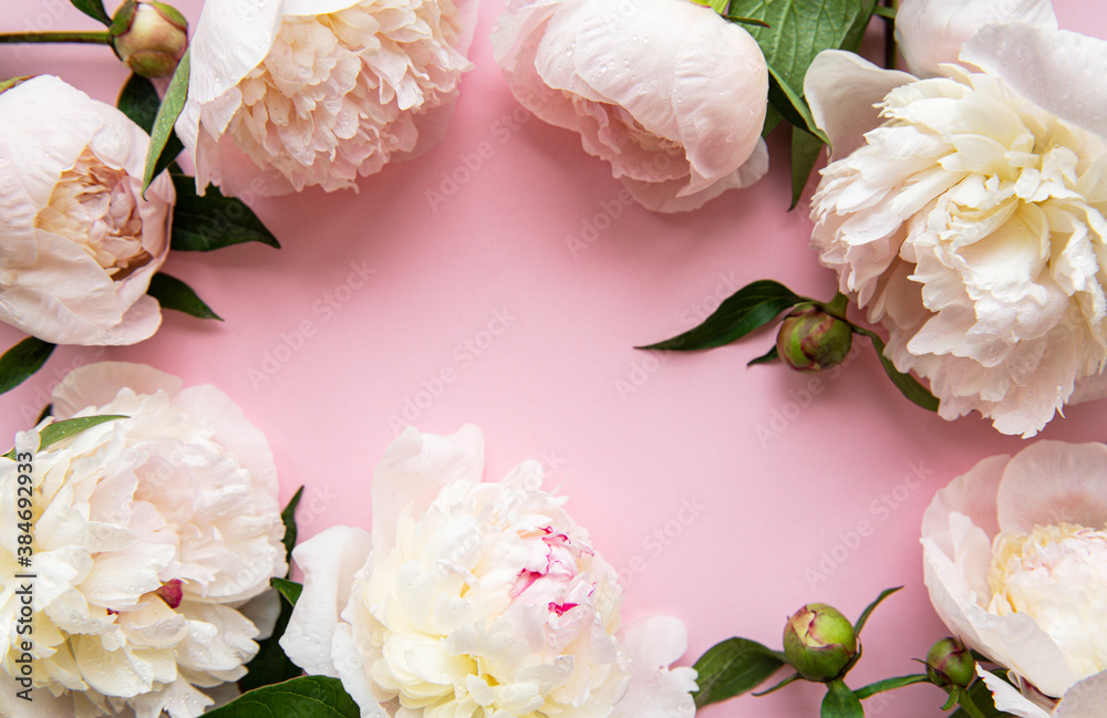 Peony flowers on a pink pastel background Peony flowers on a pink pastel background