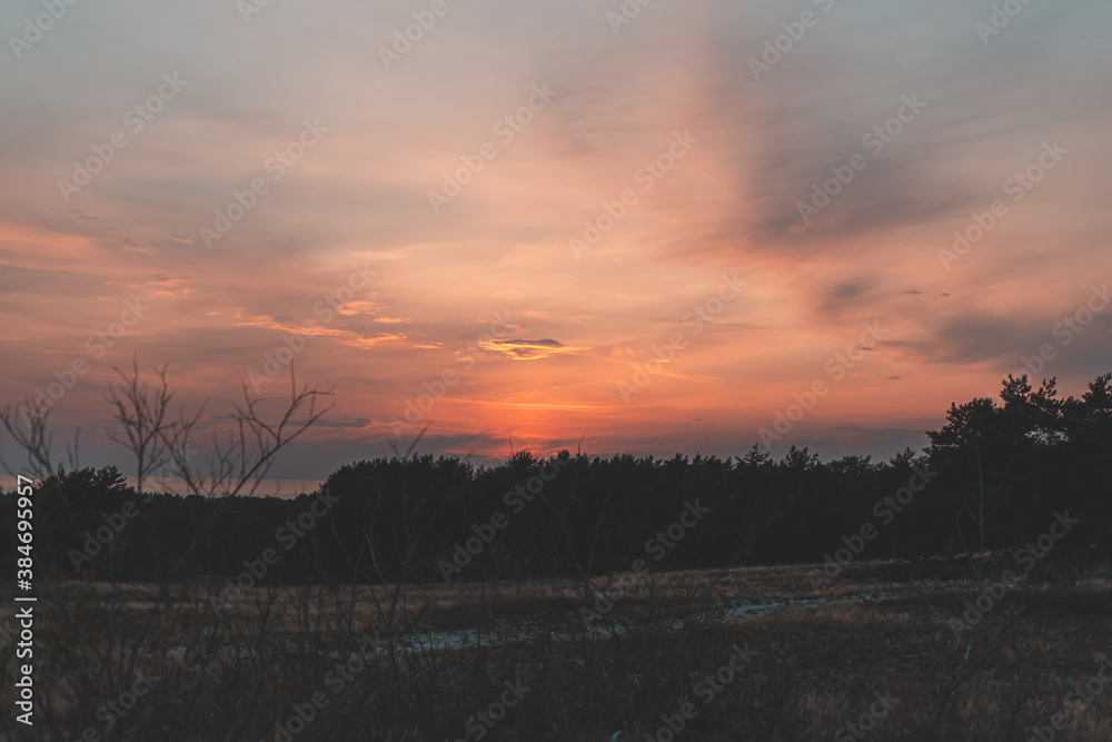 Obraz premium sunset over the forest and sand dunes