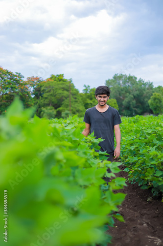 Young indian college student in cotton field