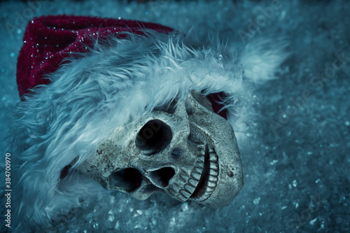 Skull with Santa hat in the snow
